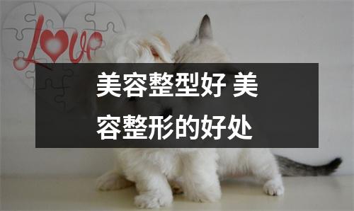 美容整型好 美容整形的好处