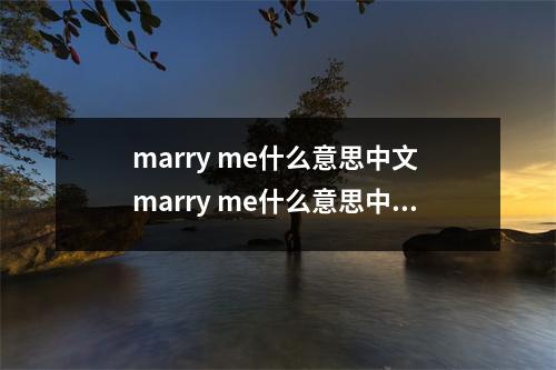marry me什么意思中文 marry me什么意思中文歌词