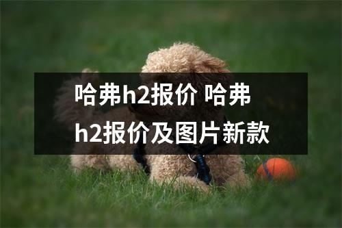 哈弗h2报价 哈弗h2报价及图片新款