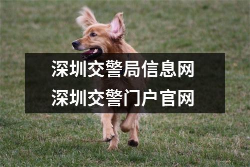 深圳交警局信息网 深圳交警门户官网