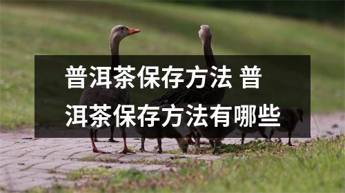 普洱茶保存方法 普洱茶保存方法有哪些