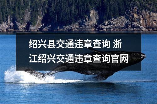 绍兴县交通违章查询 浙江绍兴交通违章查询官网