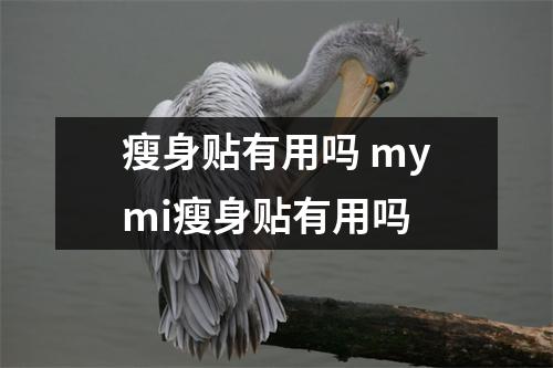瘦身贴有用吗 mymi瘦身贴有用吗