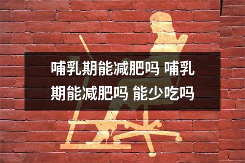 哺乳期能减肥吗 哺乳期能减肥吗 能少吃吗