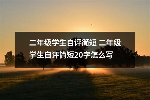 二年级学生自评简短 二年级学生自评简短20字怎么写