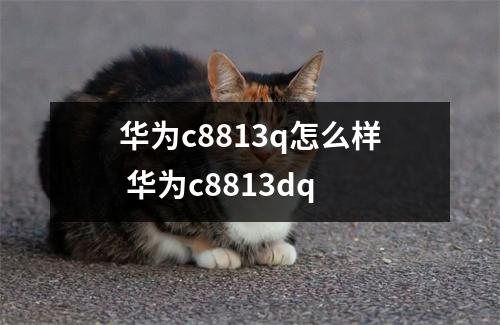 华为c8813q怎么样 华为c8813dq