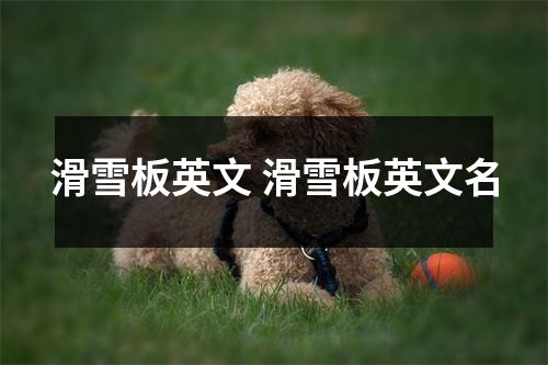 滑雪板英文 滑雪板英文名