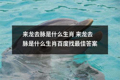 来龙去脉是什么生肖 来龙去脉是什么生肖百度找最佳答案 来龙去脉是什么生肖 来龙去脉是什么生肖百度找最佳答案