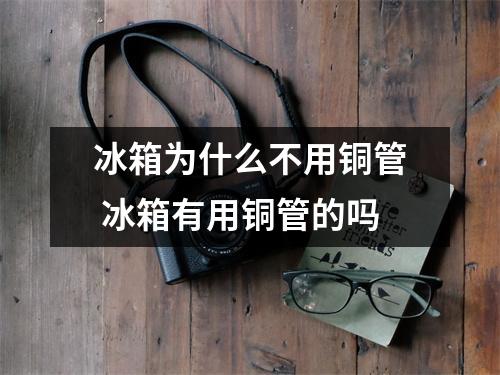 冰箱为什么不用铜管 冰箱有用铜管的吗