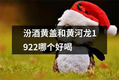 汾酒黄盖和黄河龙1922哪个好喝