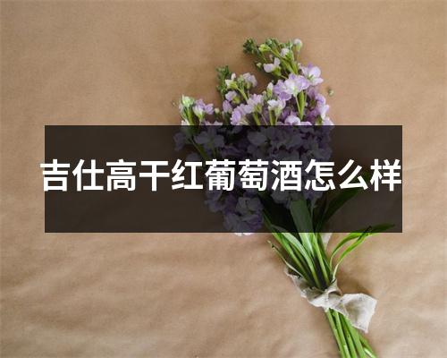 吉仕高干红葡萄酒怎么样