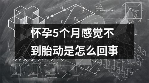 怀孕5个月感觉不到胎动是怎么回事