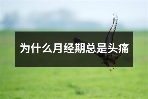 为什么月经期总是头痛