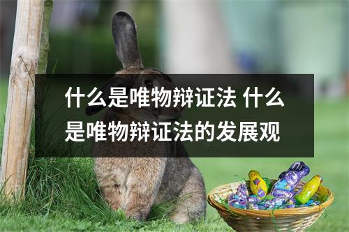 什么是唯物辩证法 什么是唯物辩证法的发展观