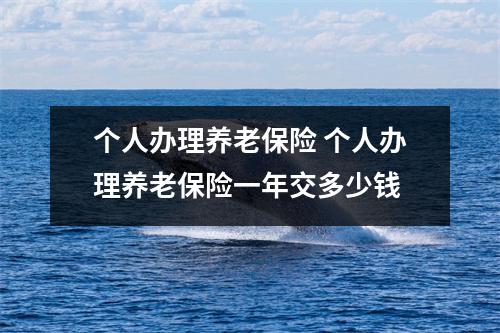 个人办理养老保险 个人办理养老保险一年交多少钱