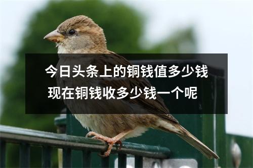 今日头条上的铜钱值多少钱 现在铜钱收多少钱一个呢