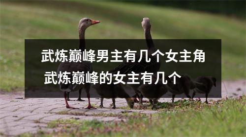 武炼巅峰男主有几个女主角 武炼巅峰的女主有几个