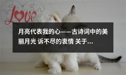 月亮代表我的心——古诗词中的美丽月光 诉不尽的衷情 关于月亮表达心境的诗