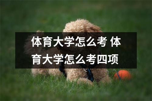 体育大学怎么考 体育大学怎么考四项