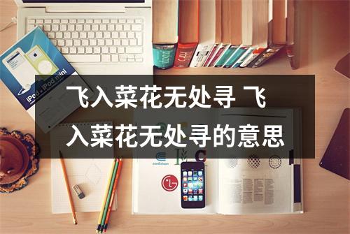 飞入菜花无处寻 飞入菜花无处寻的意思