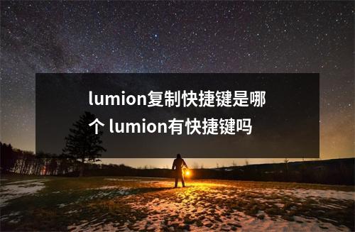 lumion复制快捷键是哪个 lumion有快捷键吗