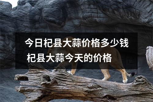今日杞县大蒜价格多少钱 杞县大蒜今天的价格