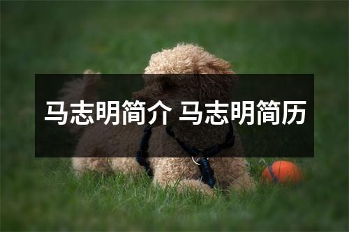 马志明简介 马志明简历