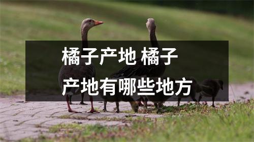 橘子产地 橘子产地有哪些地方