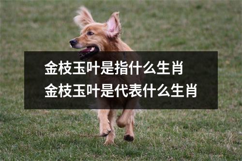 金枝玉叶是指什么生肖 金枝玉叶是代表什么生肖