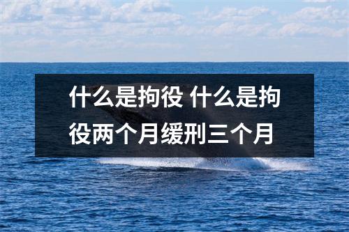 什么是拘役 什么是拘役两个月缓刑三个月