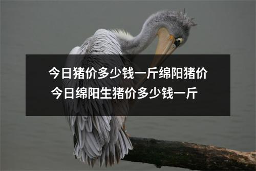 今日猪价多少钱一斤绵阳猪价 今日绵阳生猪价多少钱一斤