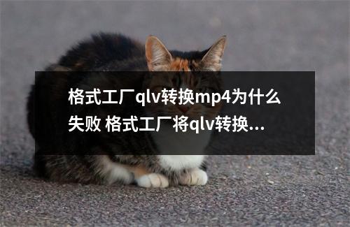 格式工厂qlv转换mp4为什么失败 格式工厂将qlv转换mp4为什么失败