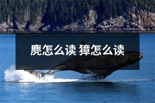 麂怎么读 獐怎么读