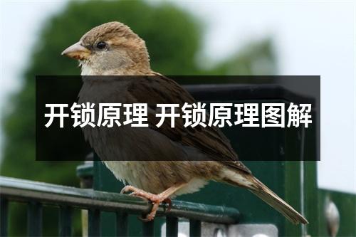 开锁原理 开锁原理图解