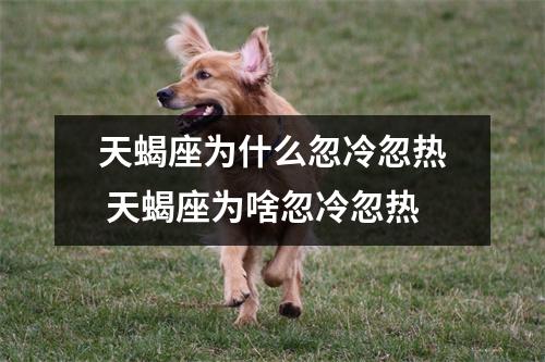 天蝎座为什么忽冷忽热 天蝎座为啥忽冷忽热