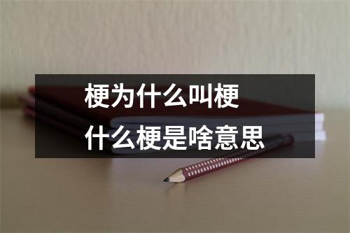 梗为什么叫梗 什么梗是啥意思