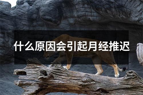 什么原因会引起月经推迟