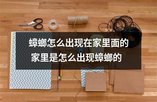 蟑螂怎么出现在家里面的 家里是怎么出现蟑螂的