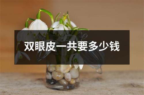 双眼皮一共要多少钱