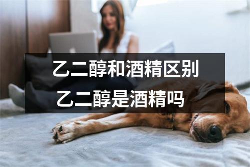 乙二醇和酒精区别 乙二醇是酒精吗