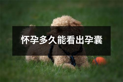 怀孕多久能看出孕囊