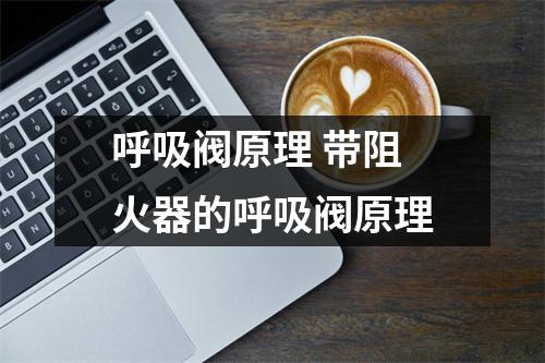 呼吸阀原理 带阻火器的呼吸阀原理
