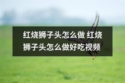 红烧狮子头怎么做 红烧狮子头怎么做好吃视频