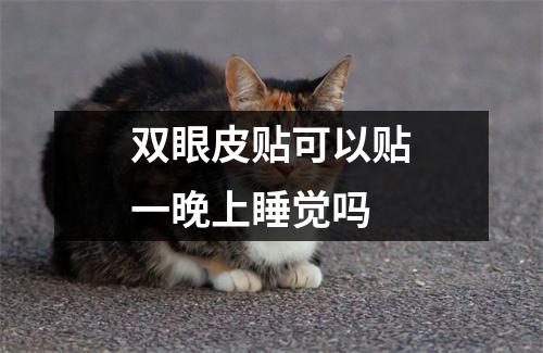 双眼皮贴可以贴一晚上睡觉吗