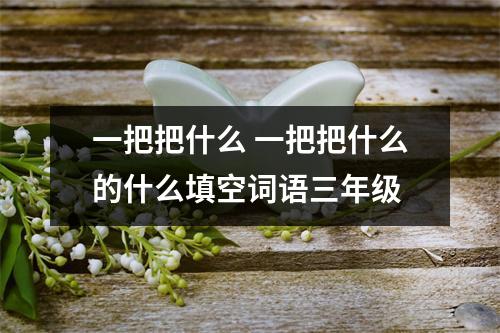 一把把什么 一把把什么的什么填空词语三年级