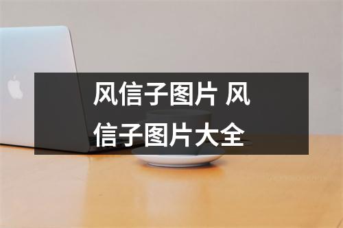 风信子图片 风信子图片大全