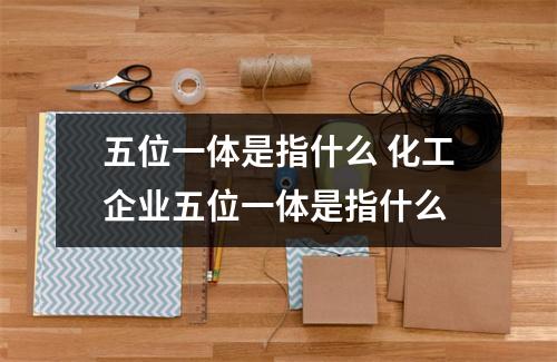 五位一体是指什么 化工企业五位一体是指什么