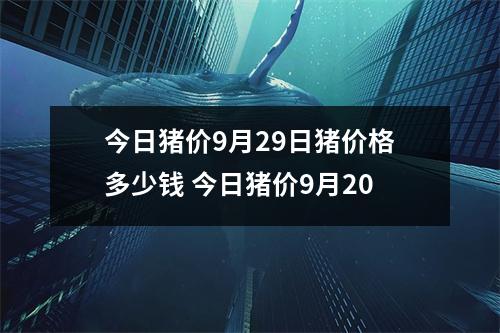 今日猪价9月29日猪价格多少钱 今日猪价9月20
