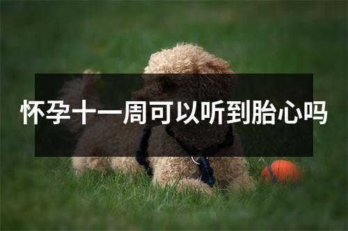 怀孕十一周可以听到胎心吗