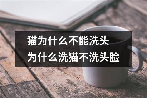 猫为什么不能洗头 为什么洗猫不洗头脸